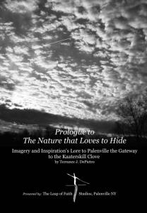 The Nature that Loves to Hide - preview the book from here